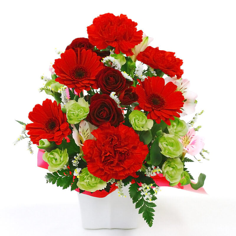 Omakase Arrangement / Cutie Red