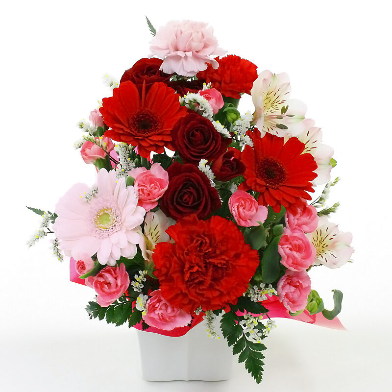 Omakase Arrangement ・Cutie Red & Pink