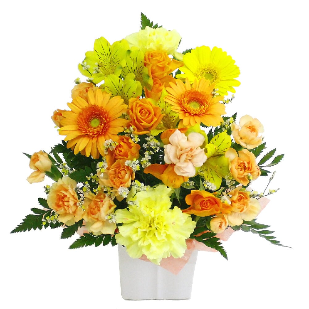 Omakase Arrangement ・Cutie Yellow & Orange