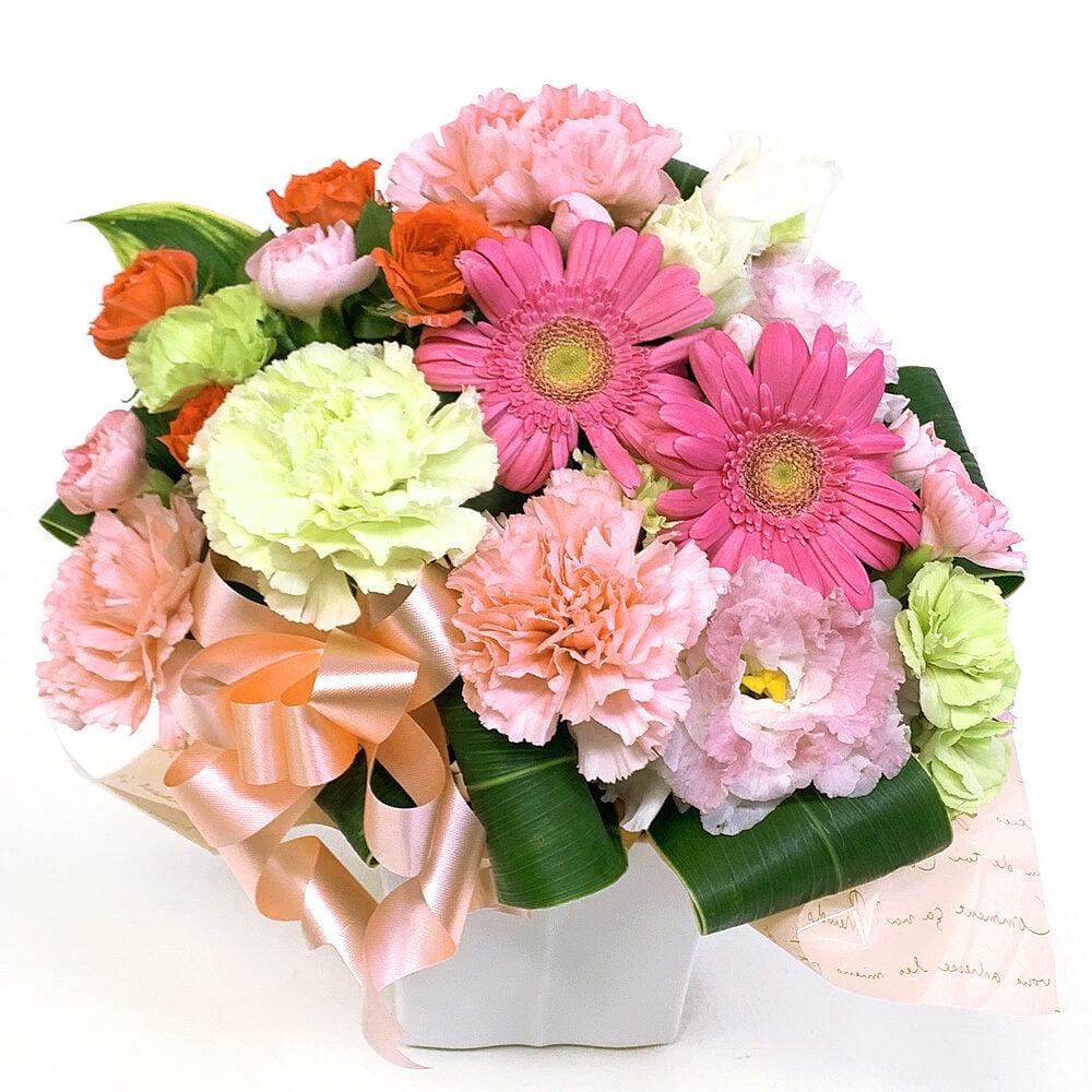 Omakase Arrangement・Cutie Forte