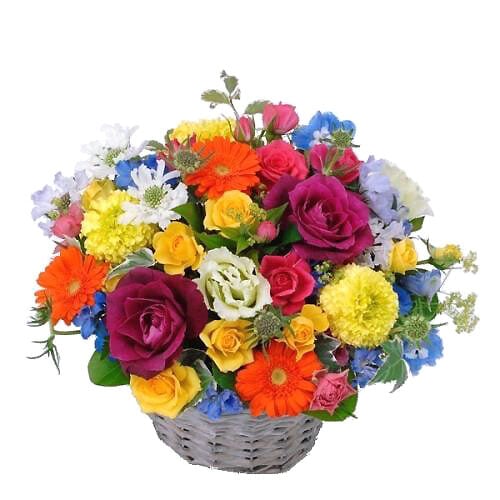 Omakase Arrangement (JFN)
