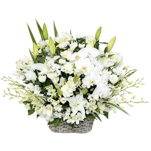 Offering Arrangement: Phoenix (JFN FF-027)