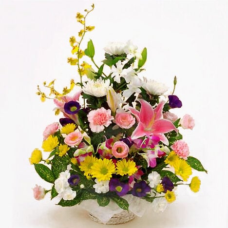 Offering arrangement/wish (JFN FF-023)