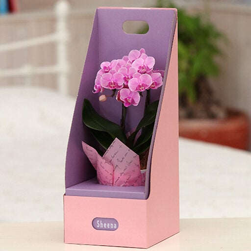 Table Phalaenopsis Orchid No. 3 2 stand