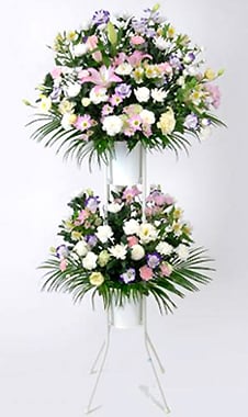 Stand flower, 2 steps (with offering color)