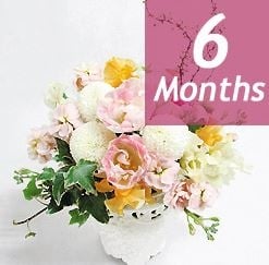 Seasonal arrangement deluxe -6 months regular service-