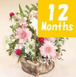 Seasonal Arrangement -12 Months Regular Service-