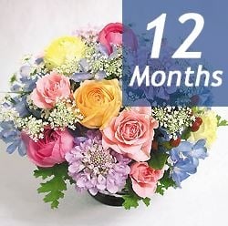 Seasonal arrangement deluxe -12 months regular service-