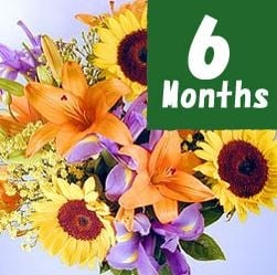 Flower Farm Birth Flower - 6 months regular delivery -