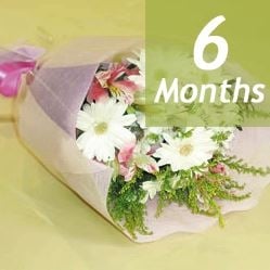 Offering Bouquet/Memory -6 Month Regular Service-