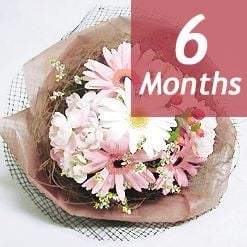 Seasonal Bouquet - 6 months regular delivery -