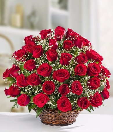 Rose Serenade