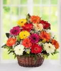 Gerbera Basket