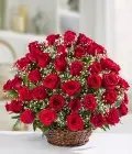 Serenade of Roses