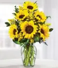 Arrangement of Sunflowers