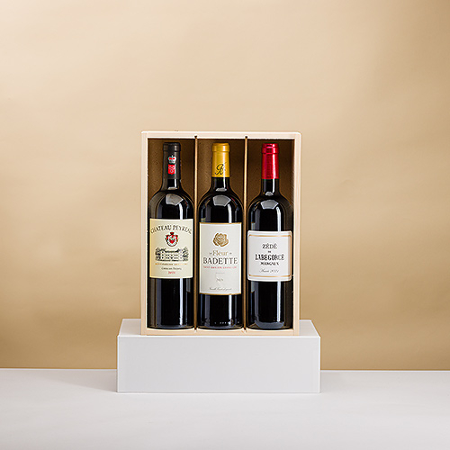 Tasting of 3 French red wines in a wooden box