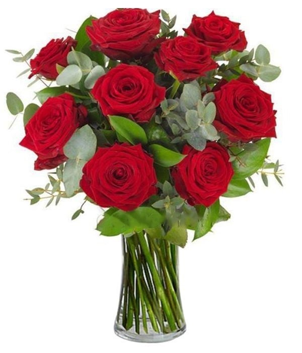 Bouquet of 9 red roses