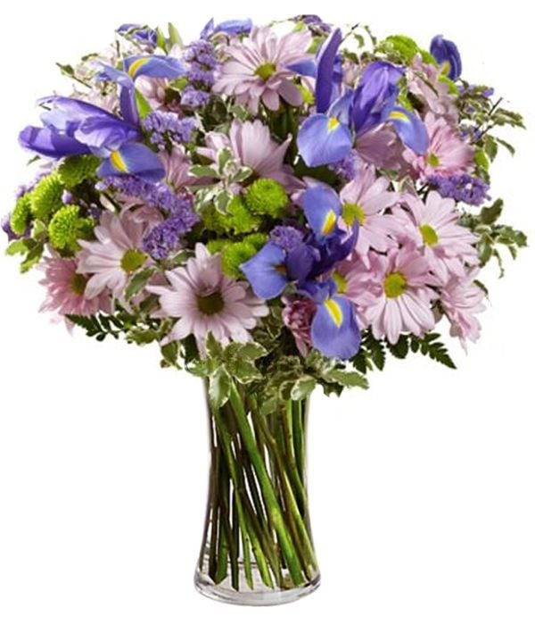 Free Spirit with irises and chrysanthemums