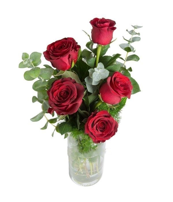 Bouquet of 5 red roses