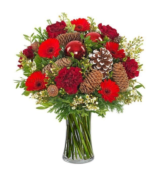 Red Bouquet with pine cones (Basic)