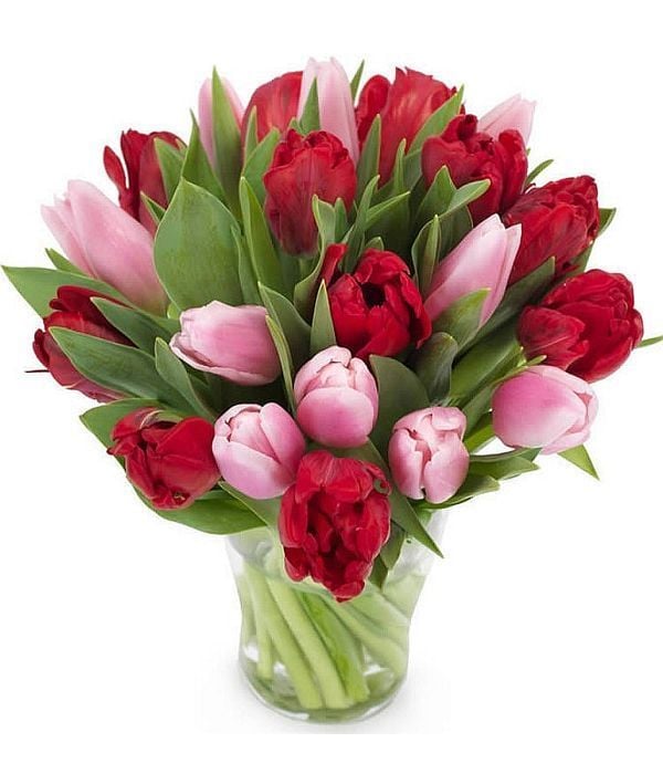 Romantic Tulips (Basic)