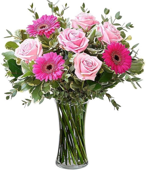 Pink roses and gerberas (Basic)