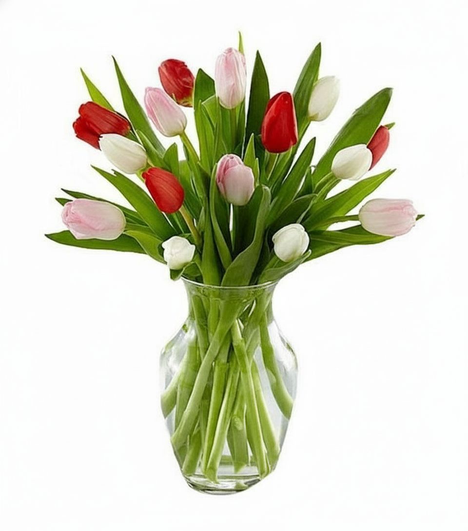 Fresh lovely tulips (Basic)