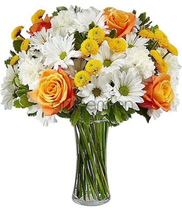 Alcmene with white and yellow flowers (Basic)