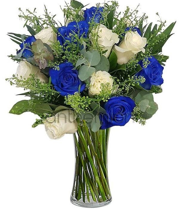 Dioni with white and blue roses (Basic)