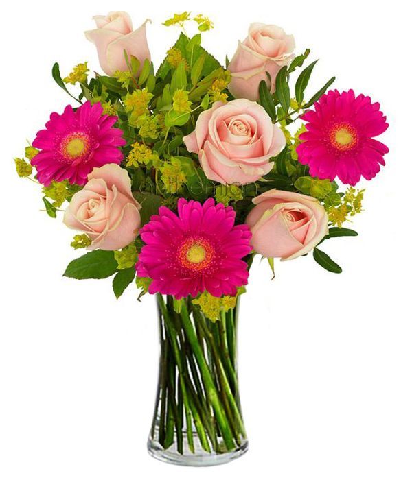 Aphrodite with fuchsia gerberas (Basic)
