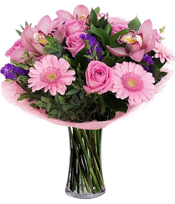 Philomela with pink orchids