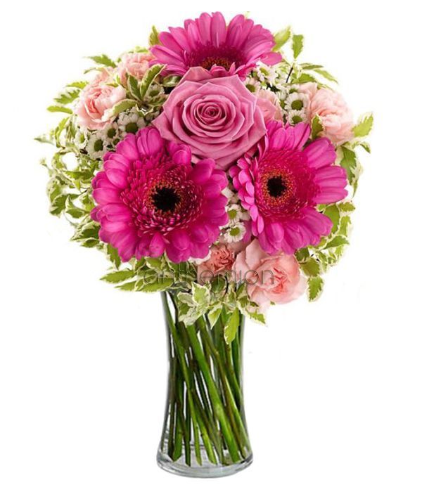 Cleopatra with pink and fuchsia flowers (Basic)