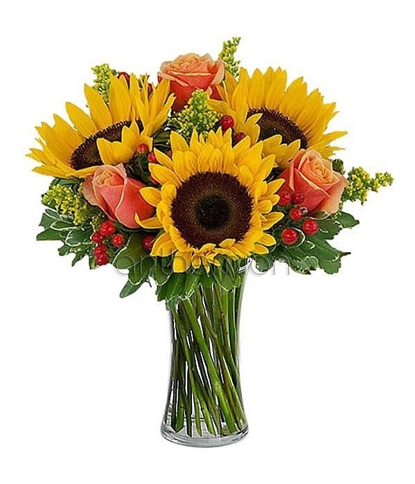 Sunflowers and orange roses (Basic)