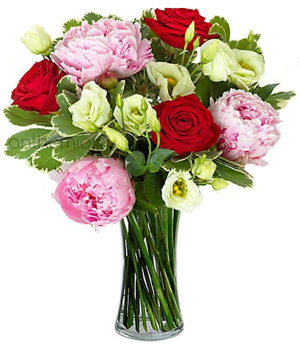Roses and peonies (Basic)
