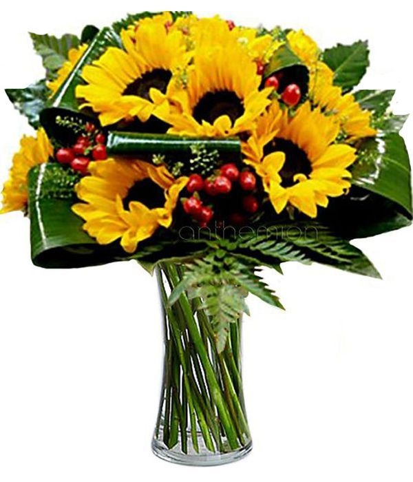 Sunflowers with hypericum (Basic)