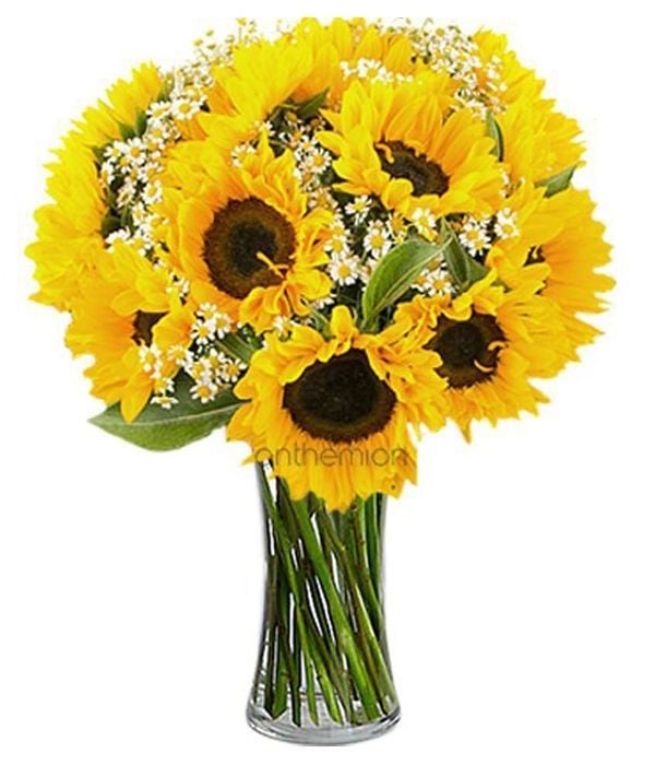 Sunflowers with chamomile (Basic)