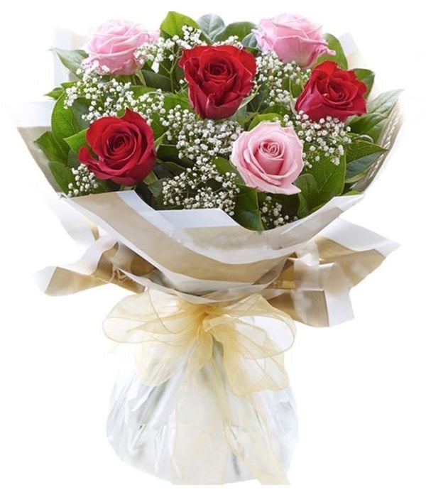 Red and pink roses