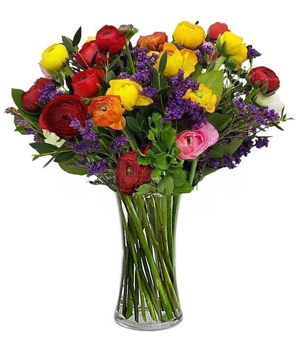 Colorful Ranunculus