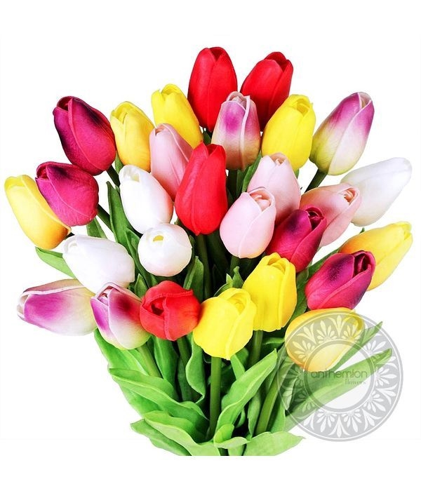 Bouquet of tulips