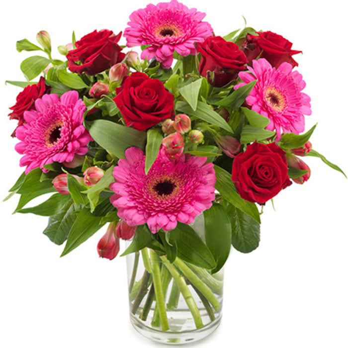 Fuchsia, Pink And Red Flowers (small)