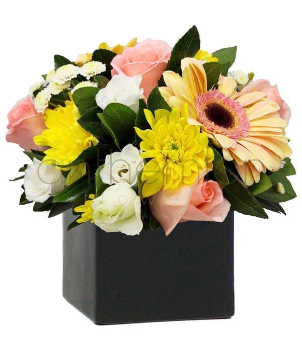 Sweet Dream Arrangement (medium)