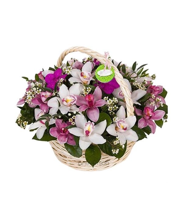 Basket full of Orchids