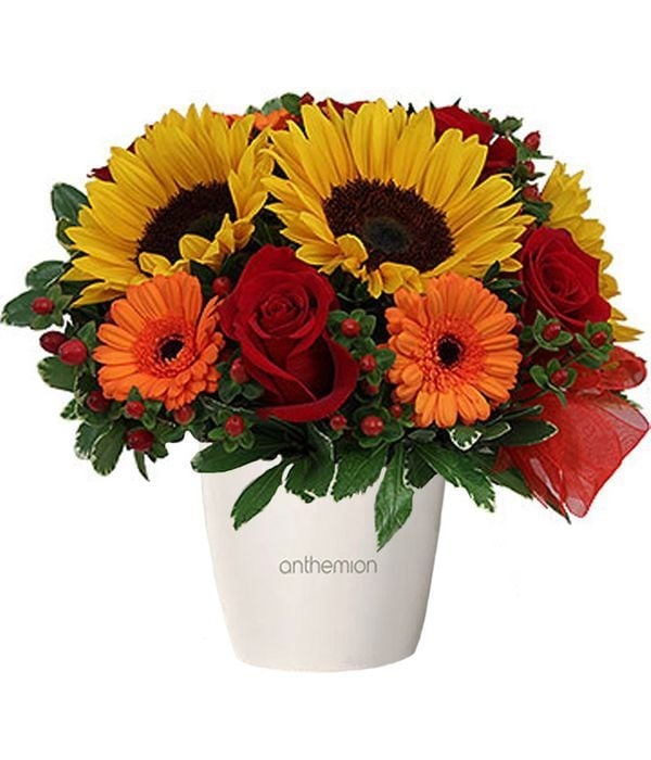 Sunflowers and Roses in Pot (Basic)