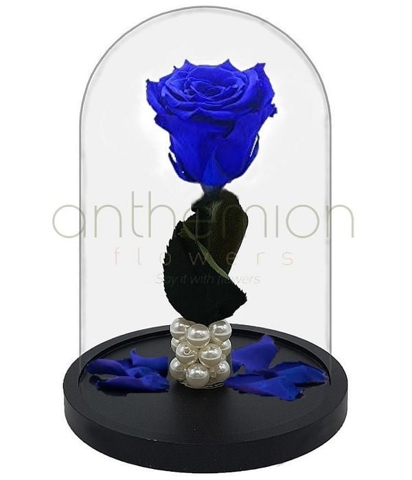 Blue Forever Rose (Medium size)