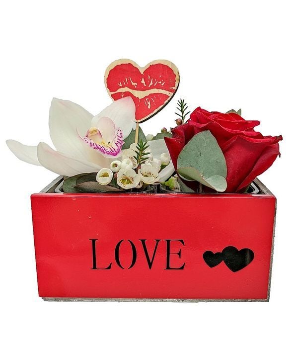 Romantic Gift (Basic)