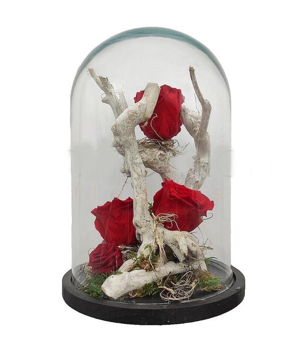 Glass Luxury Forever Rose Arrangement (Basic)