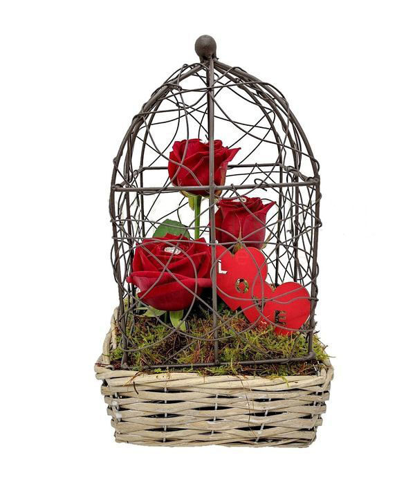 Love roses in a cage (Special)