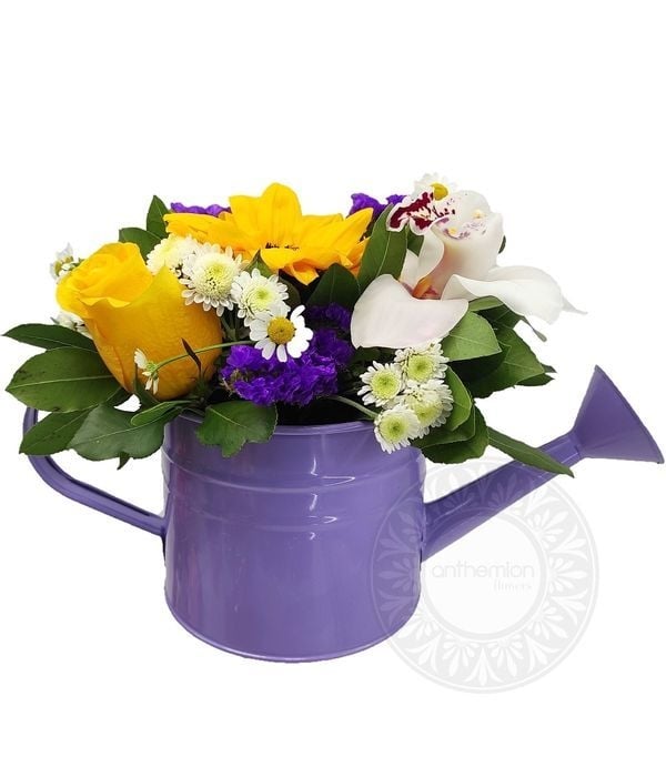 Funky watering can