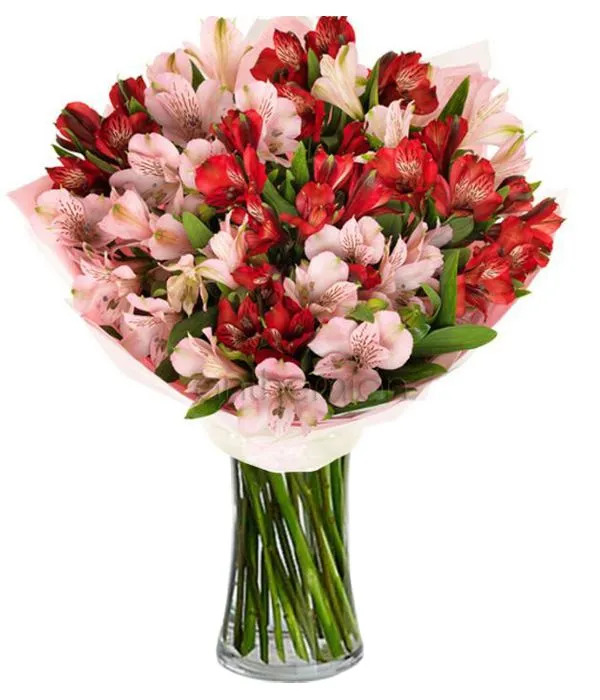 Red and pink alstromerias (Basic)