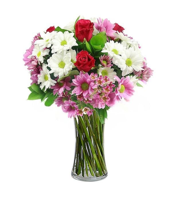 Philanthia with chrysanthemums
